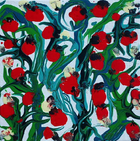 Tomatoes for Harvest