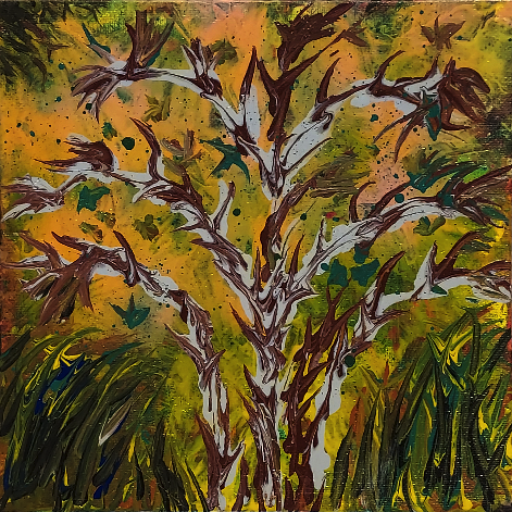 Rose Thorns after Hard Frost